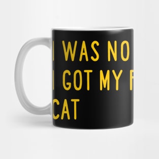 I Was Normal Until I Got My First Cat Mug